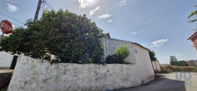 Acheter Maison Rio-maior rgion SANTAREM