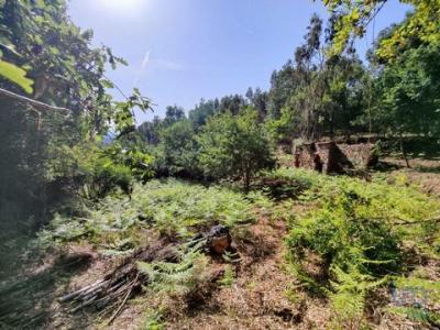Annonce Vente Terrain Pedrogao-grande