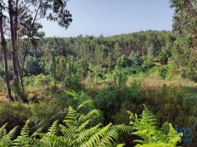 Acheter Terrain 28228 m2 Pedrogao-grande