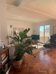 Acheter Appartement Lisboa rgion LISBOA