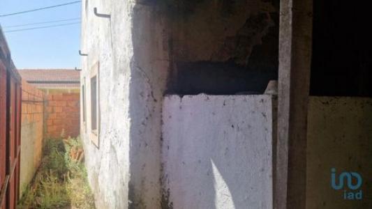 Acheter Maison Alcobaca rgion LEIRIA
