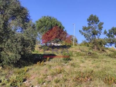 Acheter Terrain 297 m2 Pombal