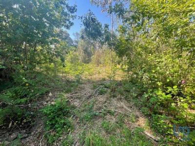 Annonce Vente Terrain Aldreu