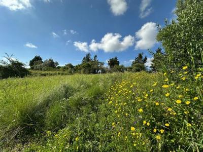Annonce Vente Terrain Mafra