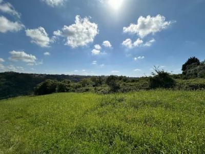 Acheter Terrain 5562 m2 Mafra