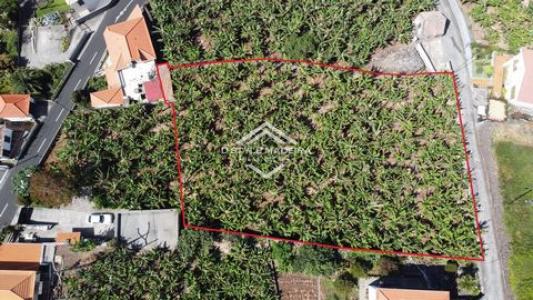 Acheter Terrain 1801 m2 Calheta