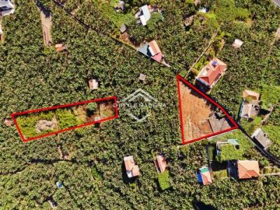 Annonce Vente Terrain Camara-de-lobos