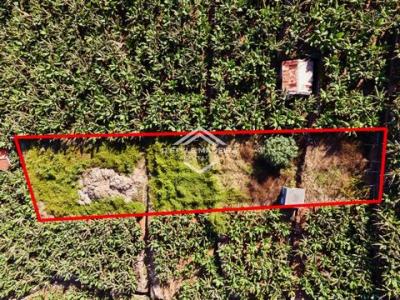 Acheter Terrain 1920 m2 Camara-de-lobos