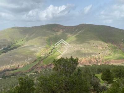 Acheter Terrain 32767 m2 Porto-santo
