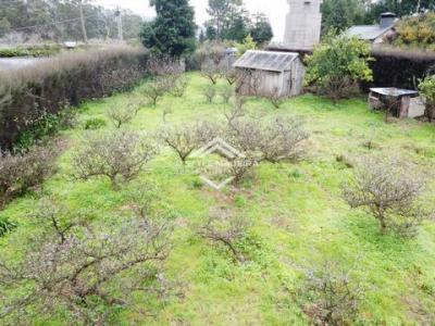 Acheter Terrain 2398 m2 Calheta