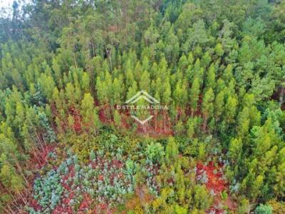 Vente Terrain Camacha  30 au Portugal