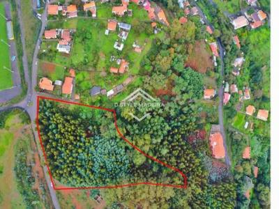 Annonce Vente Terrain Camacha