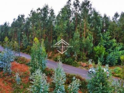 Acheter Terrain 7330 m2 Camacha