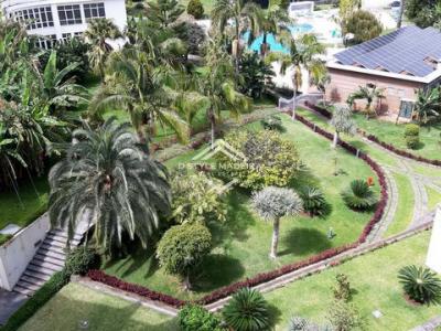 Annonce Vente 3 pices Appartement Funchal