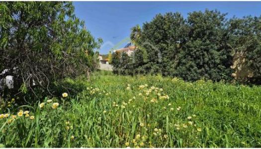 Annonce Vente Terrain Sao-bras-de-alportel