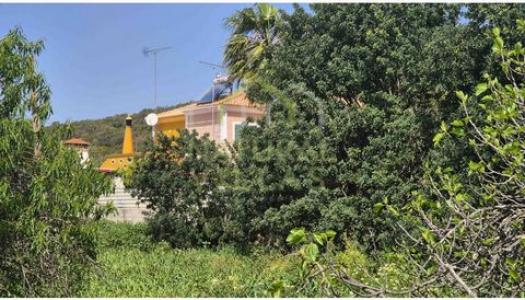 Acheter Terrain 300 m2 Sao-bras-de-alportel