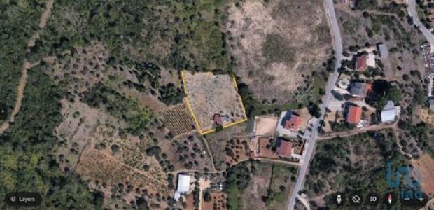 Annonce Vente Terrain Coimbra