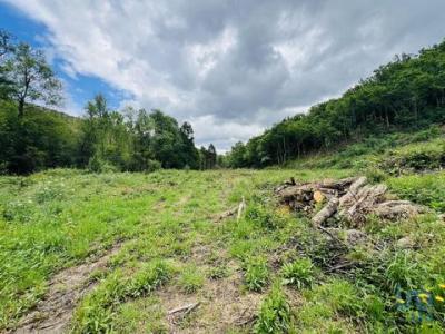 Acheter Terrain 16920 m2 Arganil