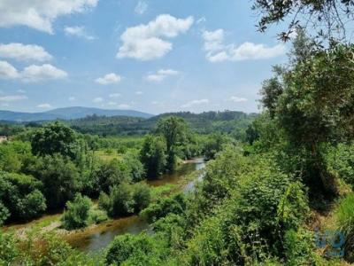 Acheter Terrain 1002 m2 Arganil