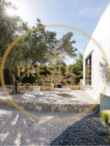 Louer Maison 350 m2 Loule