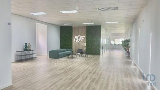 Louer Local commercial 490 m2 Amadora