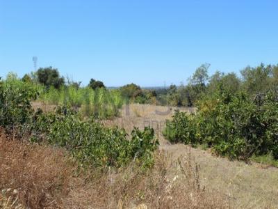 Acheter Terrain Portimao rgion FARO
