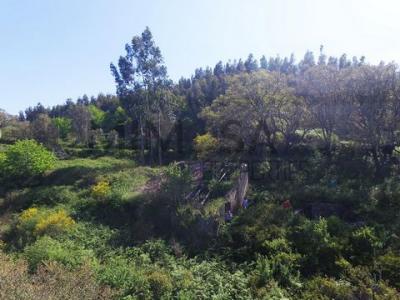 Vente Terrain Monchique  08 au Portugal