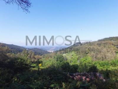 Acheter Terrain 72 m2 Monchique