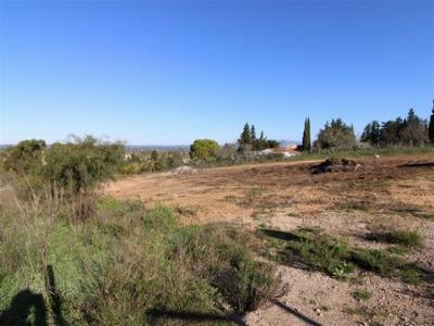 Annonce Vente Terrain Lagos