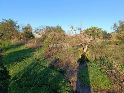 Acheter Terrain Silves rgion FARO