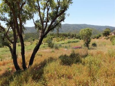 Annonce Vente Terrain Monchique