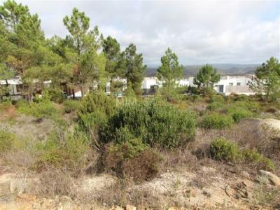 Acheter Terrain Aljezur rgion FARO