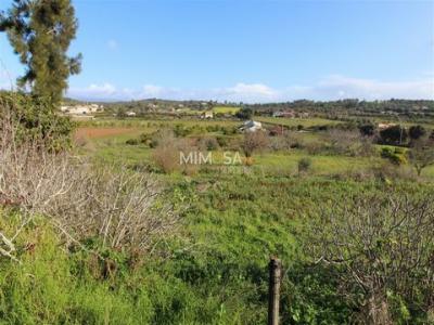 Acheter Terrain 300 m2 Lagos
