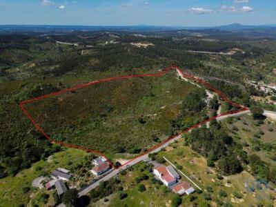 Annonce Vente Terrain Alem-da-ribeira