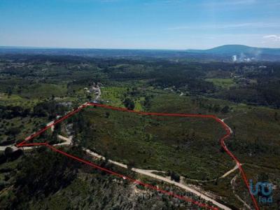 Acheter Terrain 32767 m2 Alem-da-ribeira