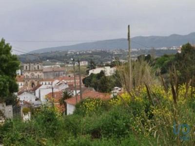 Acheter Terrain 3454 m2 Alcobaca