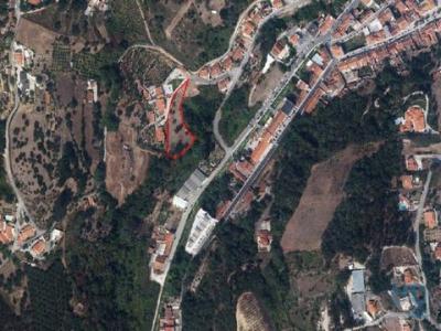 Acheter Terrain Alcobaca rgion LEIRIA