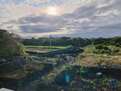 Annonce Vente Maison Madalena