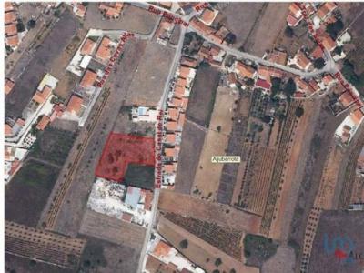 Annonce Vente Terrain Alcobaca