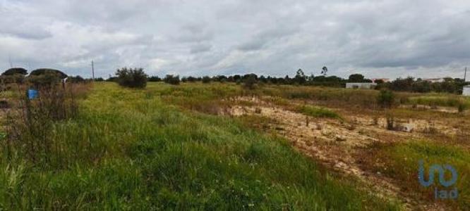 Annonce Vente Terrain Coruche