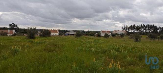 Acheter Terrain 7020 m2 Coruche