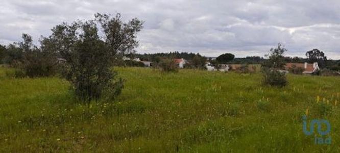 Acheter Terrain Coruche rgion SANTAREM