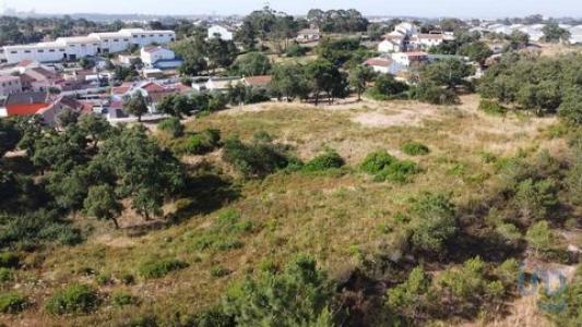 Acheter Terrain 10325 m2 Setubal