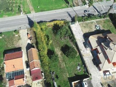 Acheter Terrain 180 m2 Salvaterra-de-magos