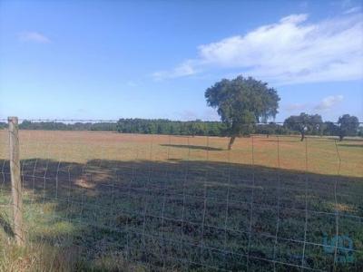 Annonce Vente Terrain Canha