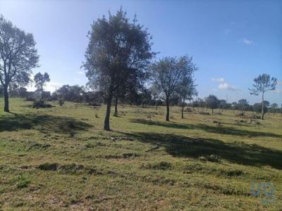 Acheter Terrain 32767 m2 Canha