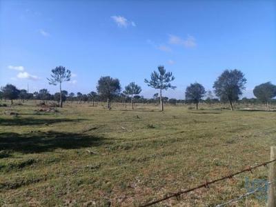 Acheter Terrain Canha rgion SETUBAL