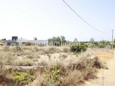 Acheter Terrain 800 m2 Silves