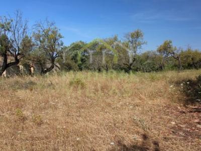 Acheter Terrain 22 m2 Faro