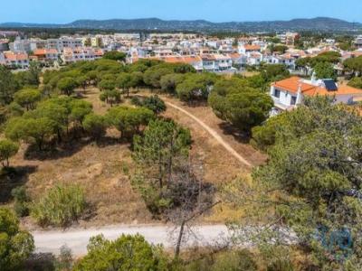 Annonce Vente Terrain Faro